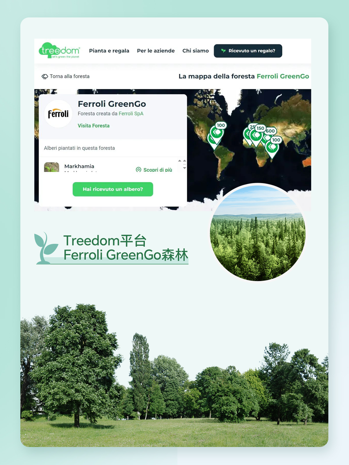 AG旗舰厅 (中国游)集团官网